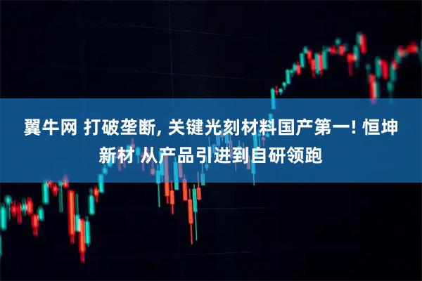 翼牛网 打破垄断, 关键光刻材料国产第一! 恒坤新材 从产品引进到自研领跑