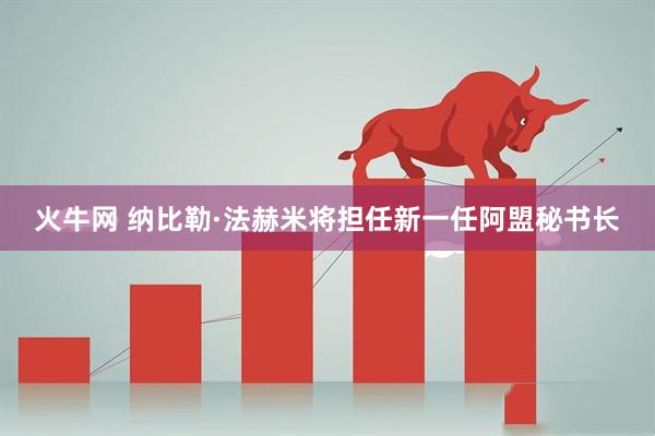 火牛网 纳比勒·法赫米将担任新一任阿盟秘书长