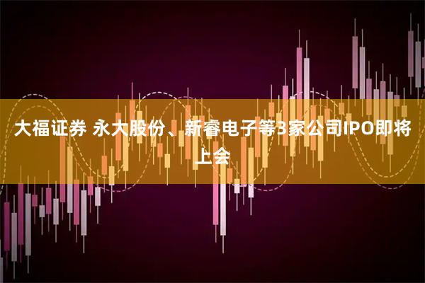 大福证券 永大股份、新睿电子等3家公司IPO即将上会