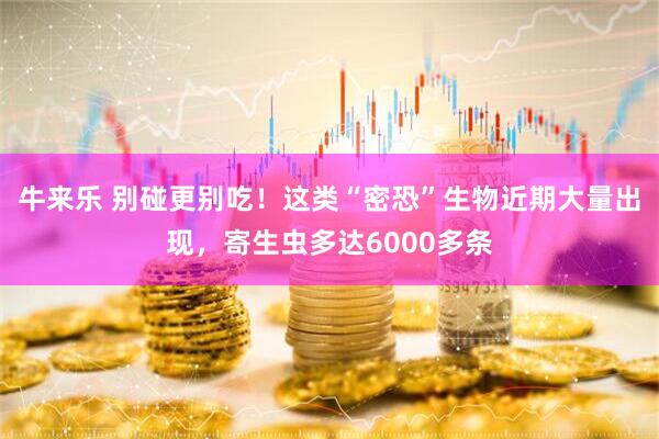 牛来乐 别碰更别吃！这类“密恐”生物近期大量出现，寄生虫多达6000多条