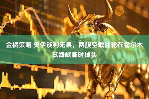 金橘策略 美伊谈判无果，两艘空载油轮在霍尔木兹海峡临时掉头