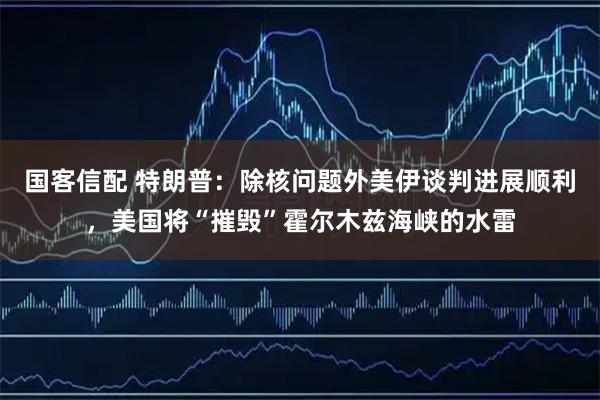 国客信配 特朗普：除核问题外美伊谈判进展顺利，美国将“摧毁”霍尔木兹海峡的水雷